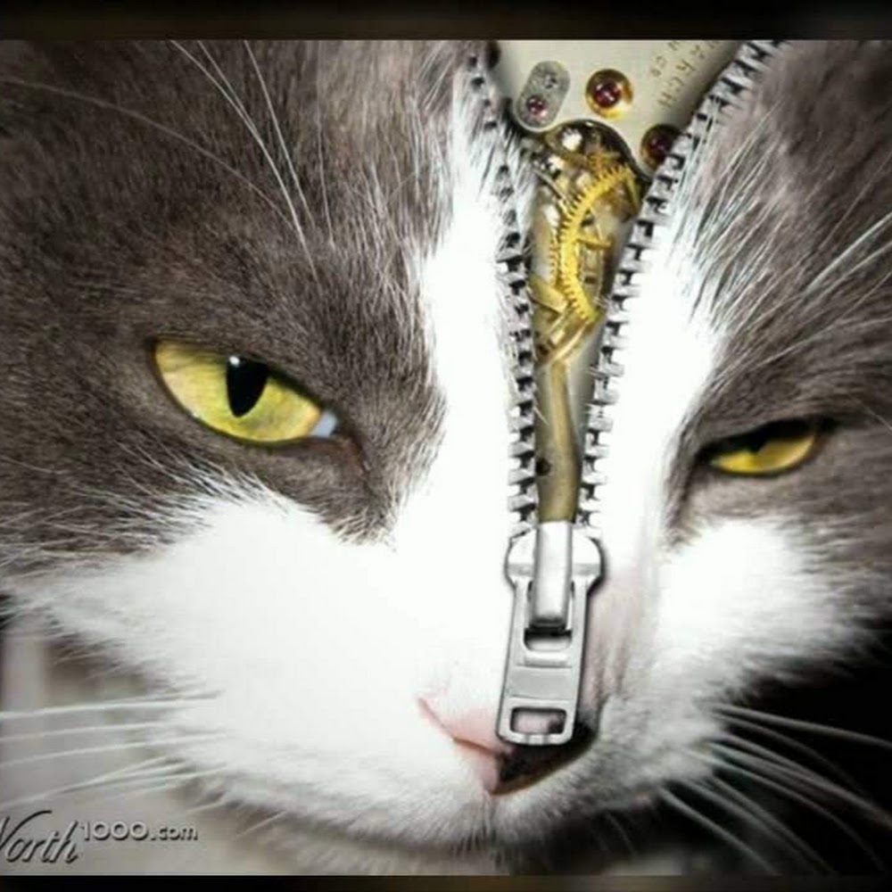 Meet your Posher, Bryan